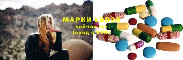 дмт Осинники