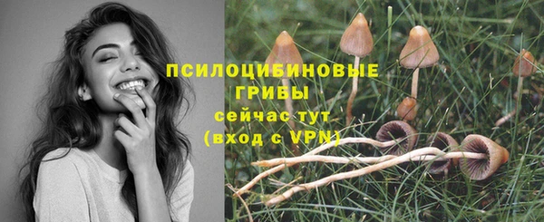 прущие грибы Алексин