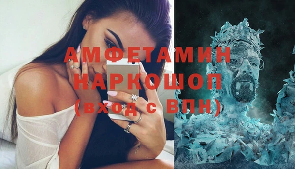 молекула духа Алексеевка