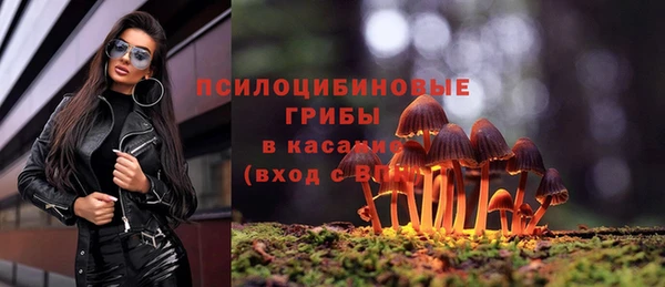 молекула духа Алексеевка