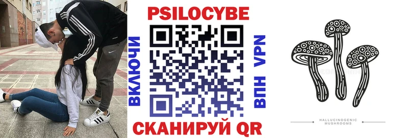 продажа наркотиков  Чишмы  Псилоцибиновые грибы ЛСД 